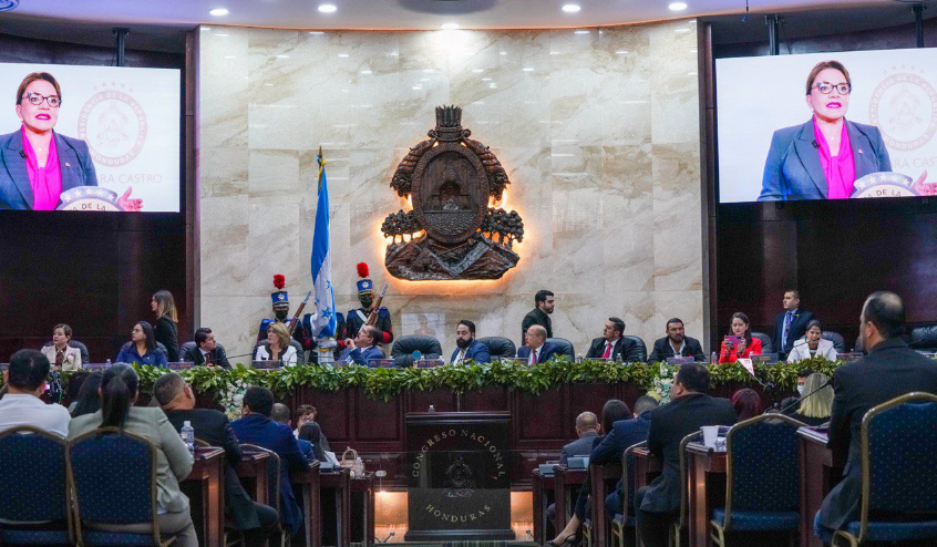 Diputado Ramón Barrios presentará recurso de inconstitucionalidad contra el artículo 80 de la Ley Orgánica del CN