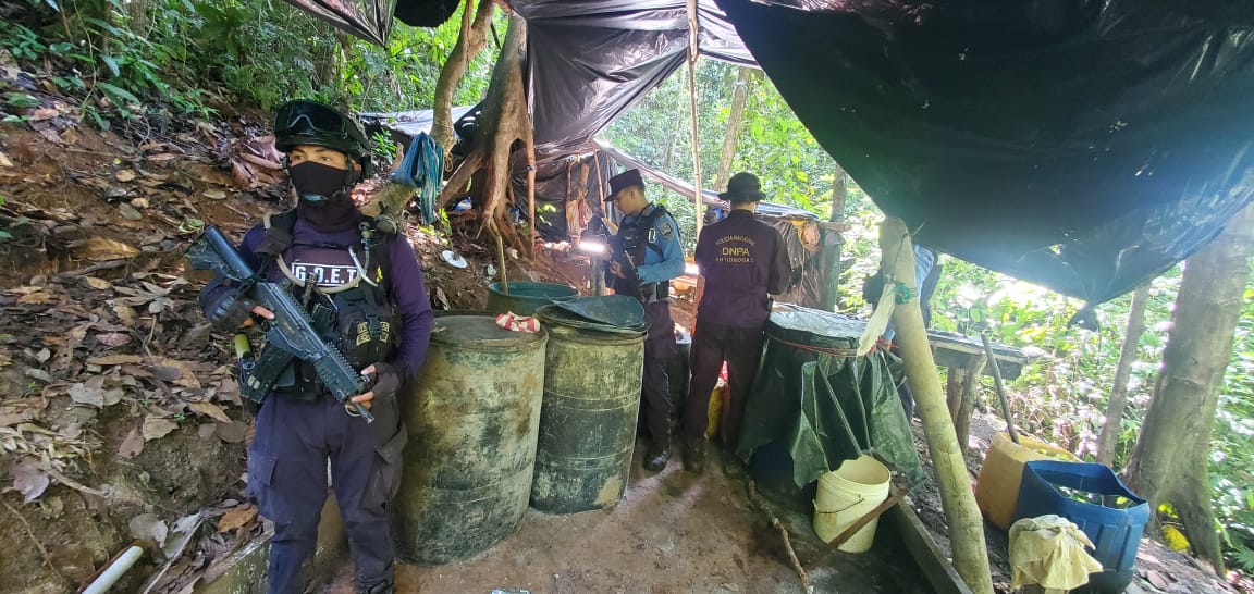 Ubican y aseguran una plantación con 30,000 arbustos de hoja de coca y un laboratorio rústico en Colón