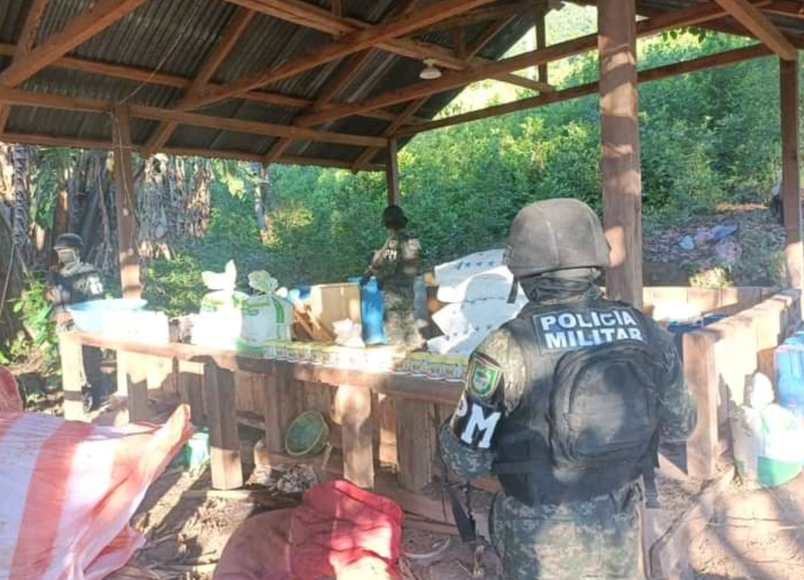 PMOP: Asegura en Atlántida 400 mil arbustos de hoja de coca