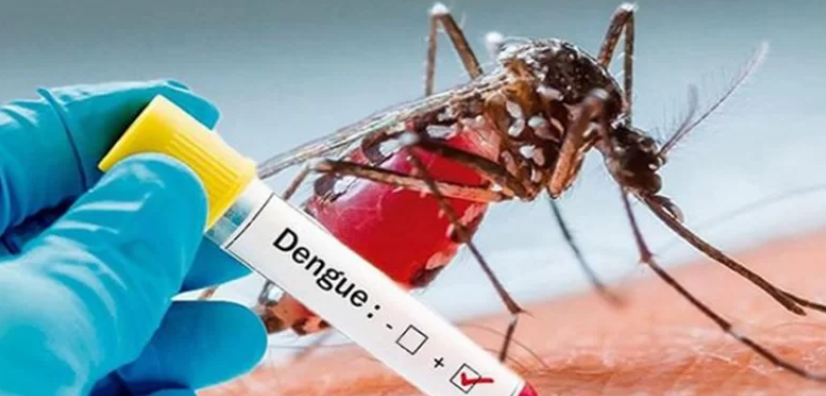 Suman y siguen las muertes por dengue en el principal centro hospitalario
