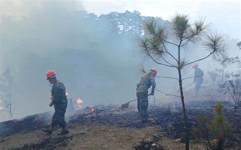 Incrementan incendios forestales en Francisco Morazán