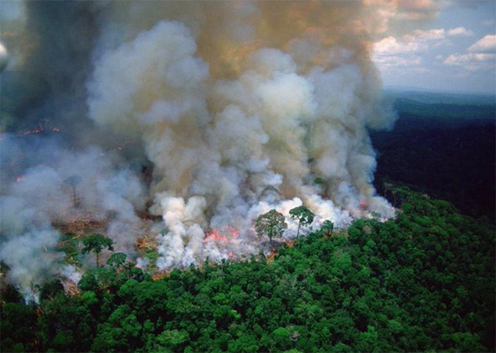 Casi 3.000 incendios en la Amazonía brasileña, récord de febrero