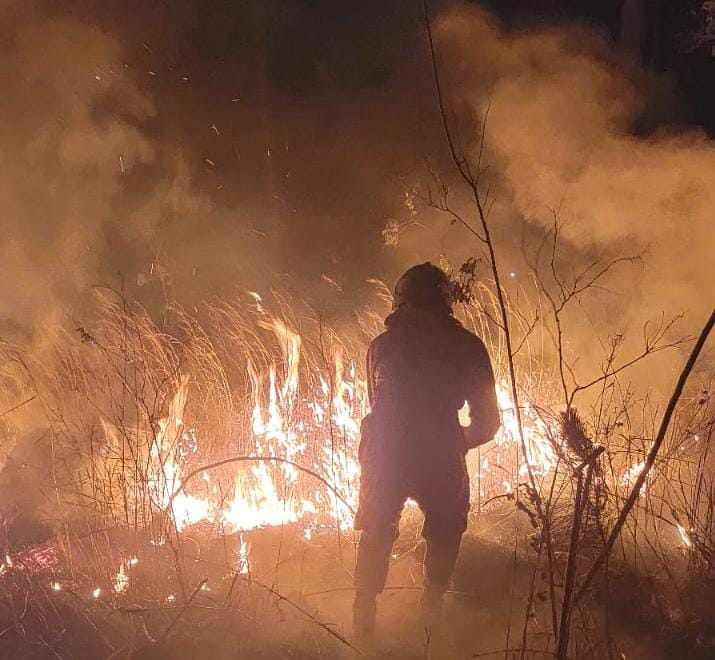 El Cuerpo de Bomberos combate incendio en carretera a Santa Lucía