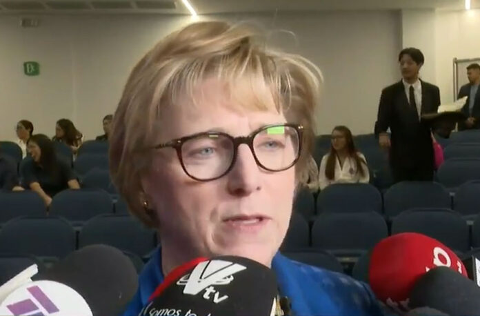 Honduras debe trabajar en base a la Constitución, dice embajadora Laura Dogu