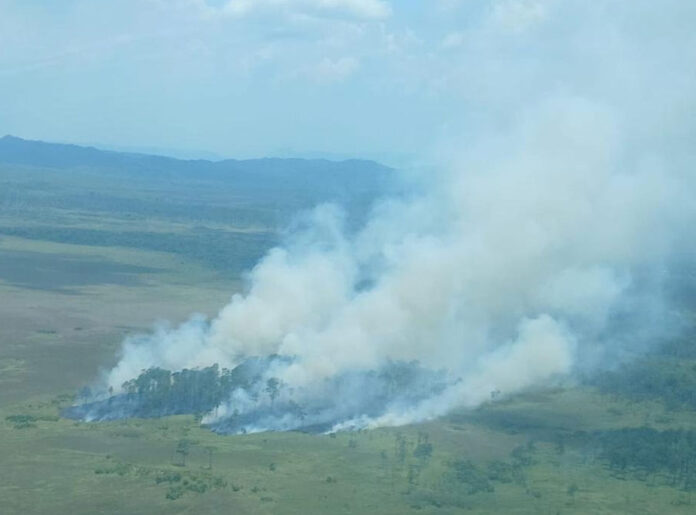 Incendio consume biósfera del Río Plátano