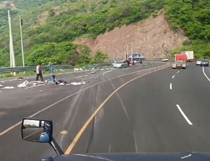 Semoviente provoca accidente vial y deja dos muertos en departamento de Valle