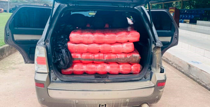 Sospechoso de Distribución de Drogas es Detenido con 800 Libras de Marihuana