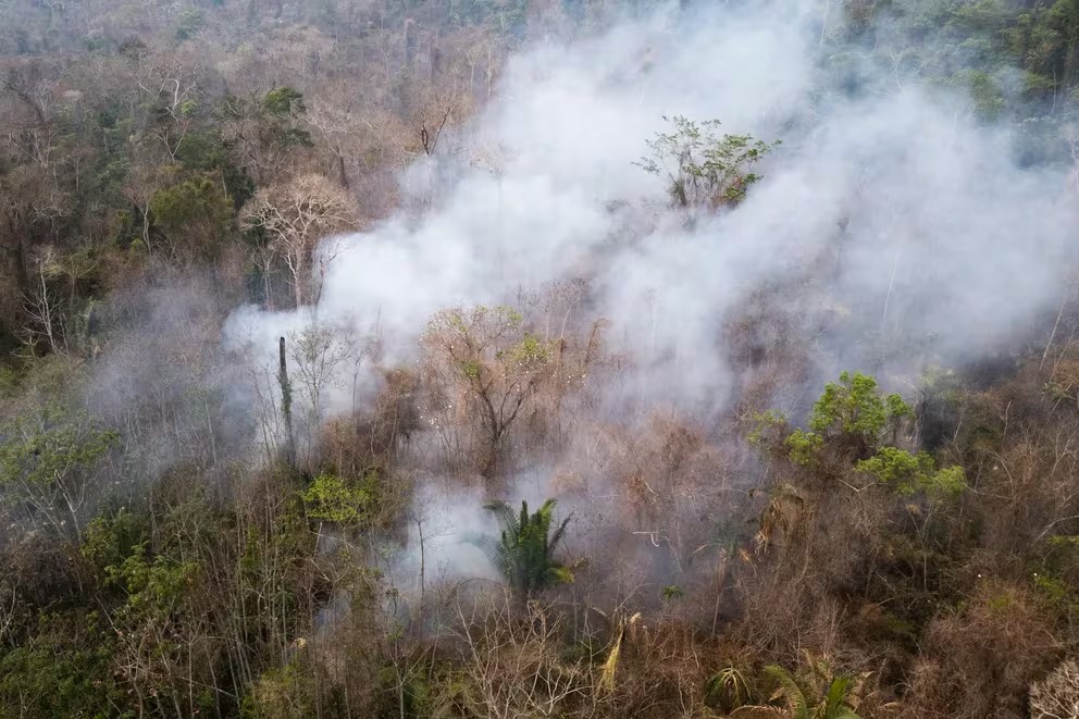 Las emisiones de dióxido de carbono por los incendios en la Amazonía brasileña aumentaron un 60% Las emisiones de dióxido de carbono por los incendios en la Amazonía brasileña aumentaron un 60%