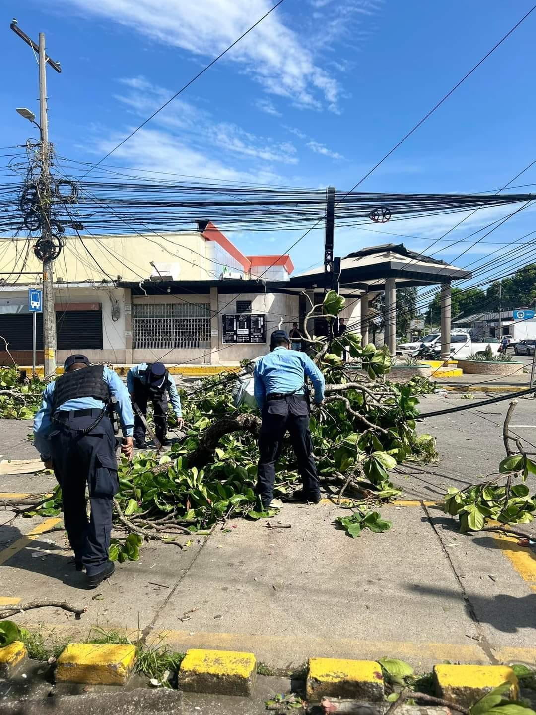 Vientos huracanados dejan daños considerables en Puerto Cortés