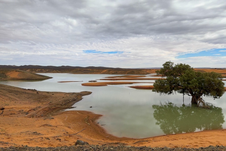 El milagro del lago Iriqui, resucitado por las lluvias torrenciales en el desierto de Marruecos