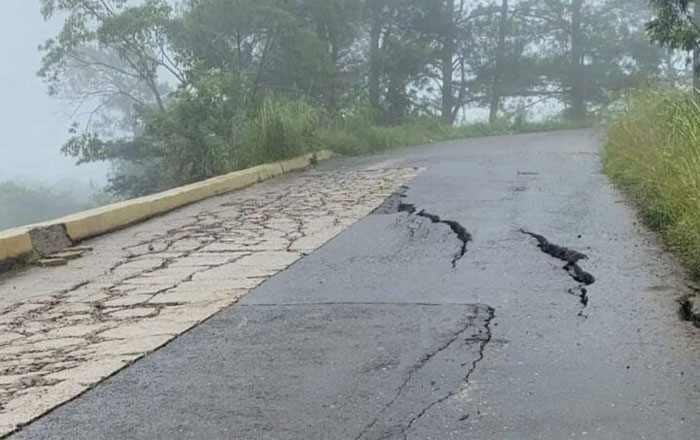 el viceministro de caficultura, unos 7 mil kilómetros de carreteras terciarias necesitan mantenimiento