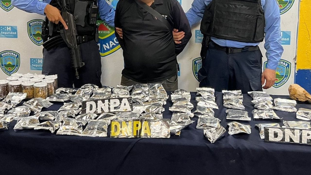 Arrestan a panadero por comercializar brownies ‘mágicos’