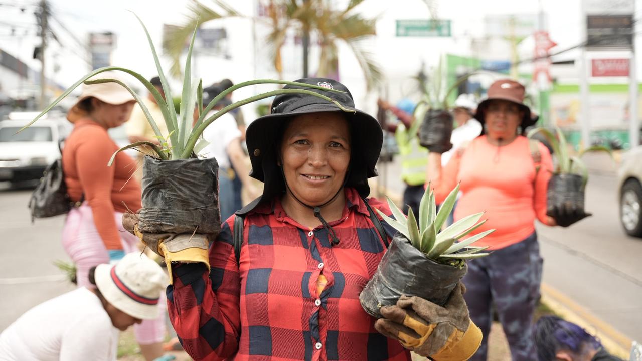 AMDC promueve una ciudad más verde con jornada de arborización en el bulevar Suyapa AMDC promueve una ciudad más verde con jornada de arborización en el bulevar Suyapa