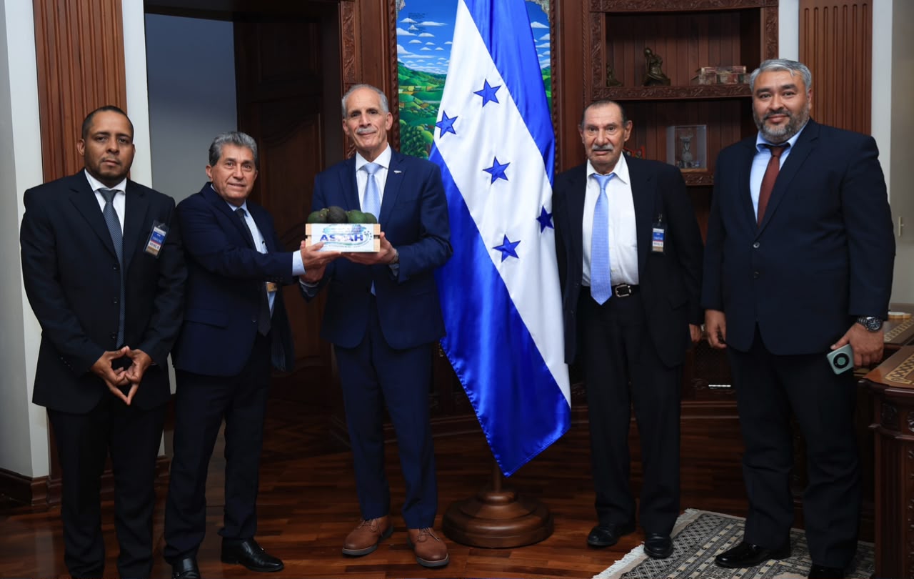 Gobierno del presidente Asfura reafirma su compromiso con productores de aguacate para potenciar exportación Gobierno del presidente Asfura reafirma su compromiso con productores de aguacate para potenciar exportación