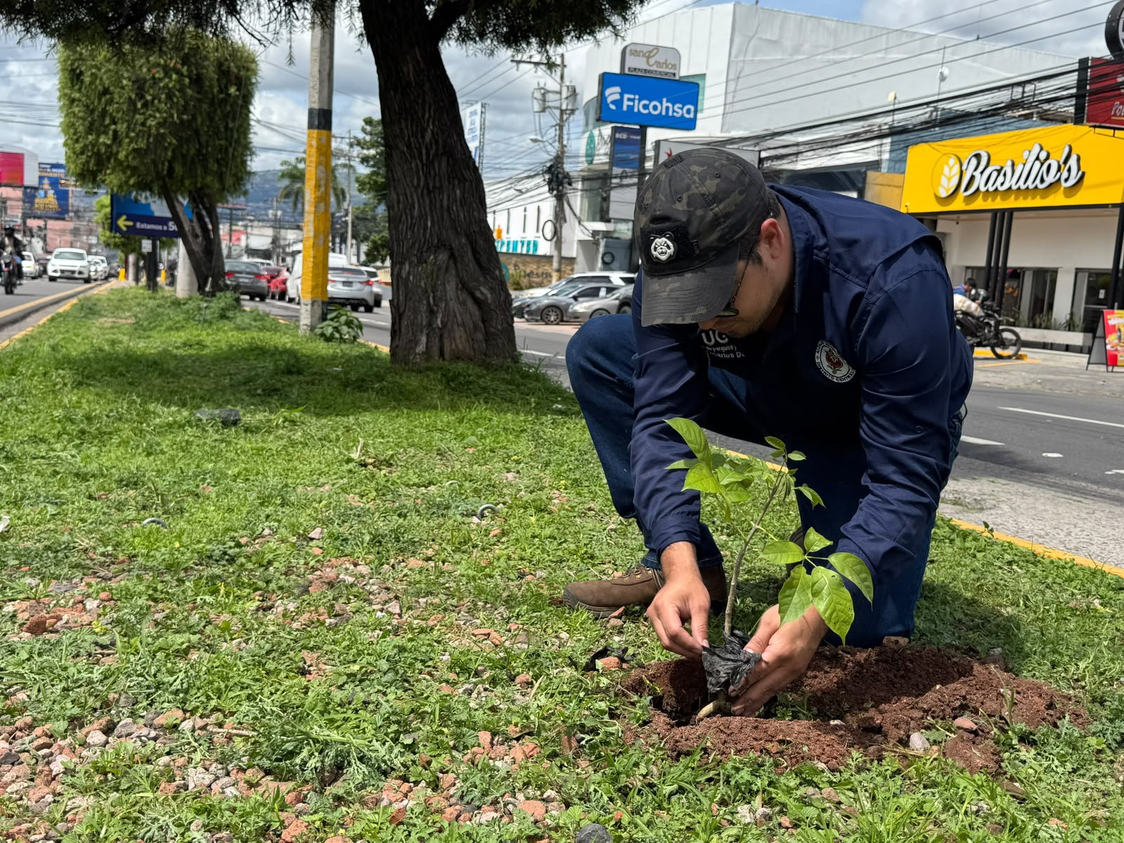 AMDC siembra más de 40 mil plantas y recupera espacios verdes en la capital